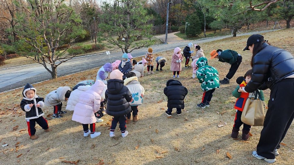 부엉이숲 이미지