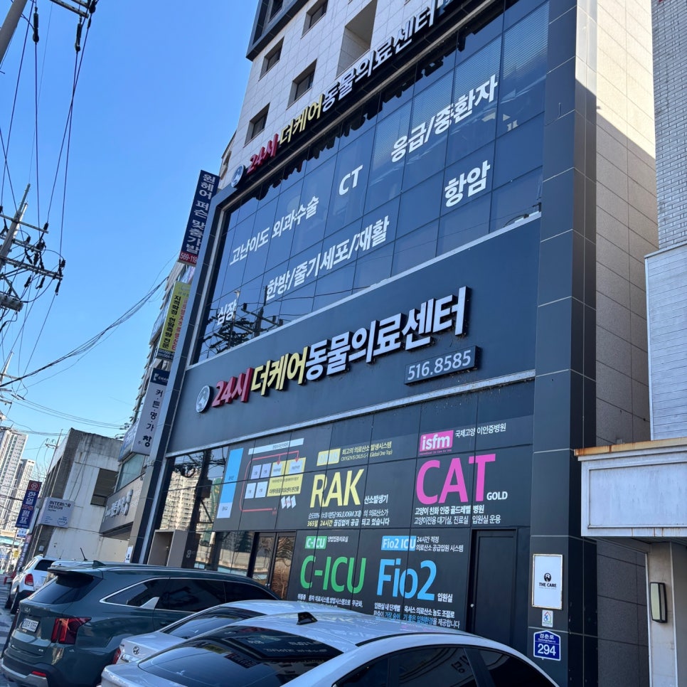 강아지 복수·간 질환, 구리 더케어 24시 동물병원 진료 후기
