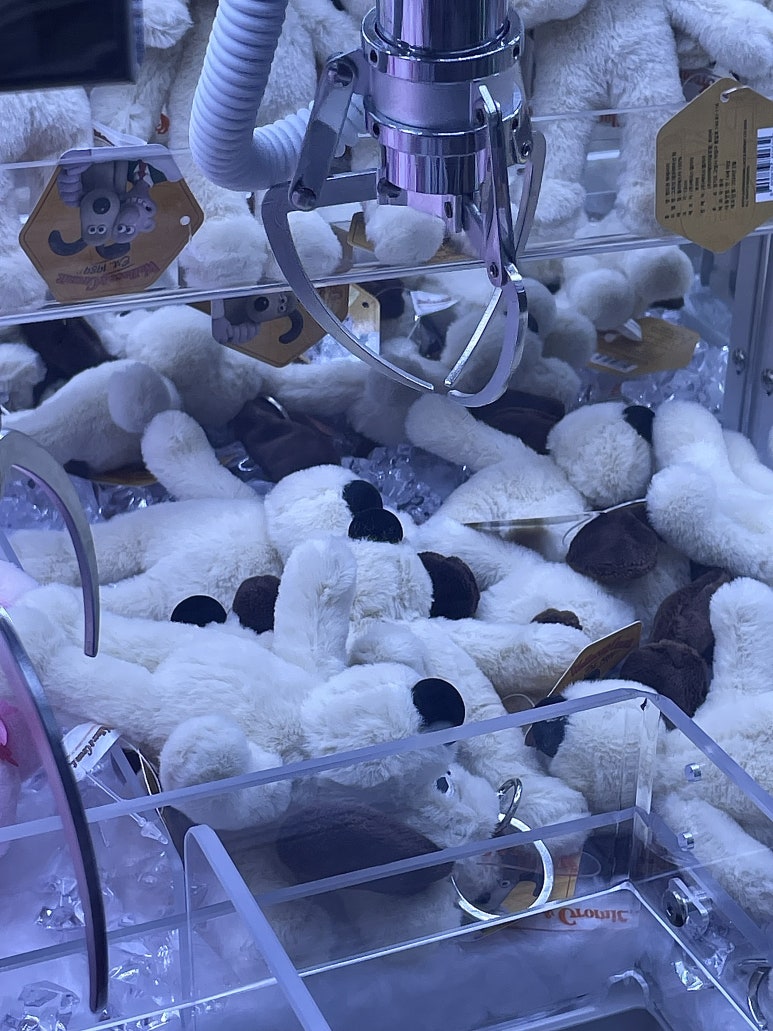 힙플조이 이미지