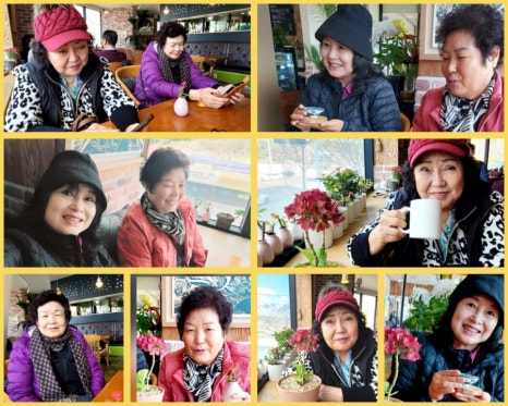 보니떼 이미지