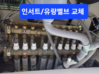 루이젠 이미지