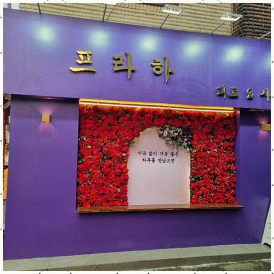 프라하&타로 이미지