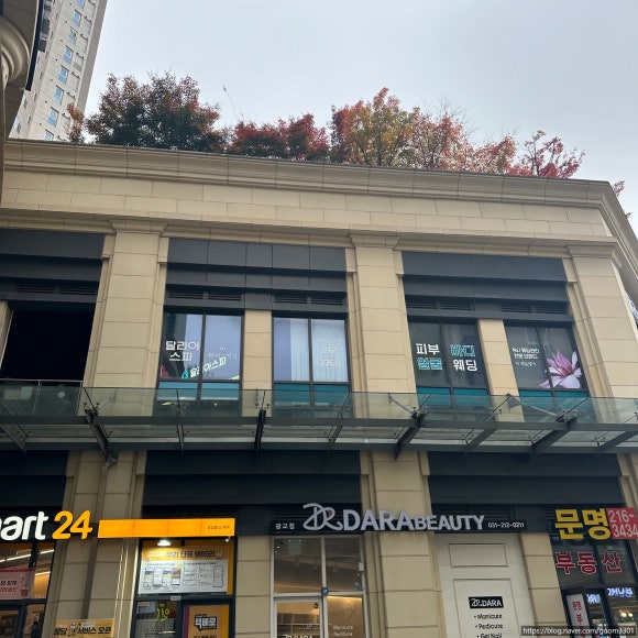 달리아에스테틱 이미지