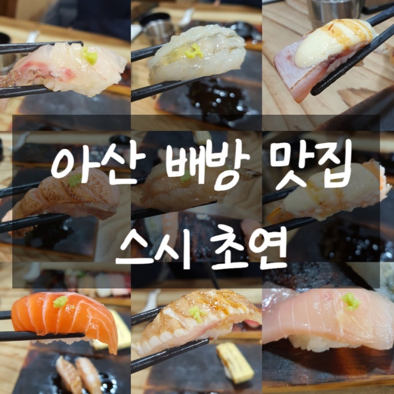스시초연 이미지