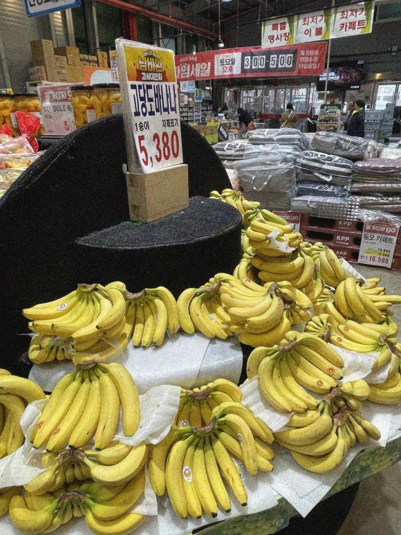 마트로마트로 이미지