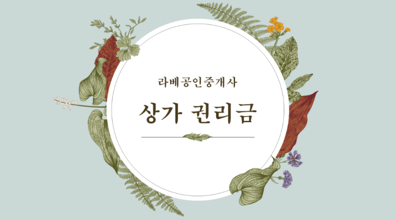 라베야 이미지