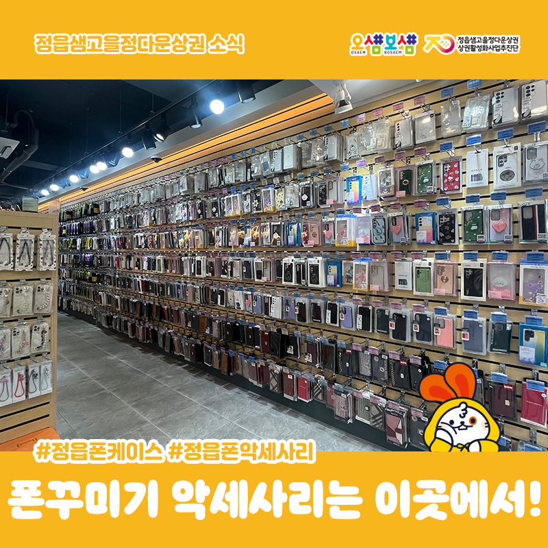 보라보라케이스 이미지