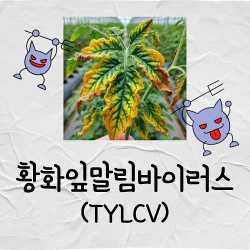 무지개농약사 이미지