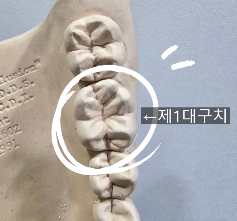 다봄치과 이미지