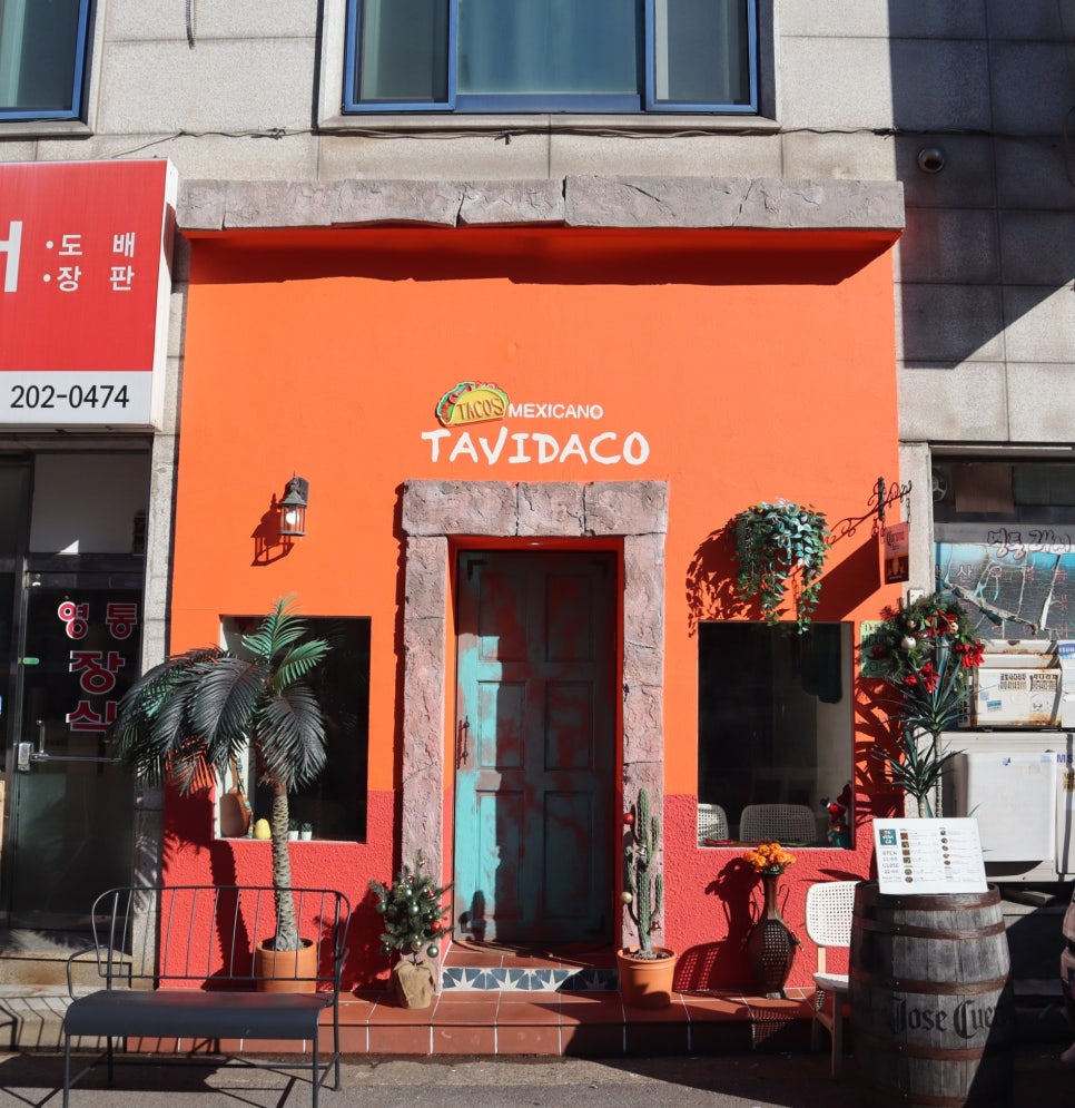 타비다코 이미지