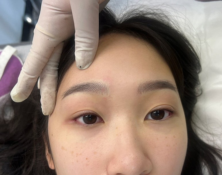 르네브로우 이미지