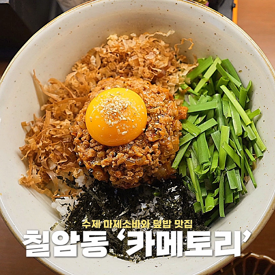 카메토리 이미지