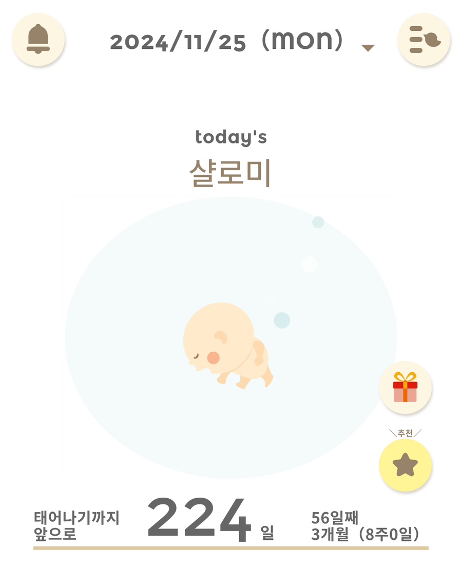 샬로미 이미지