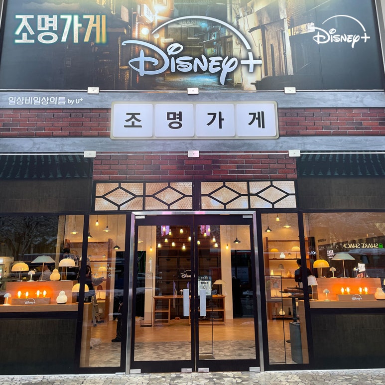 금조명 이미지