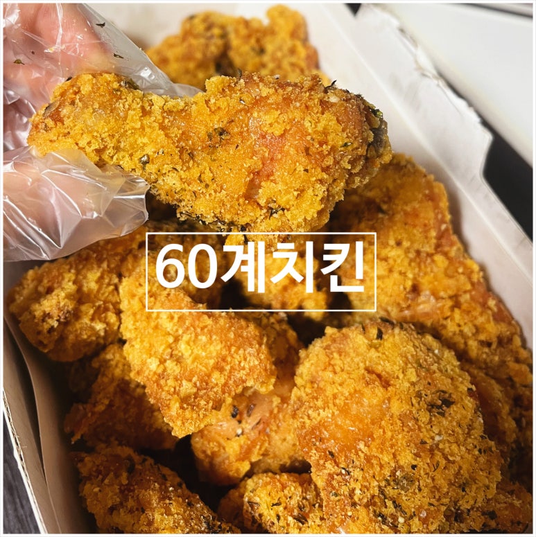 60계고양 이미지