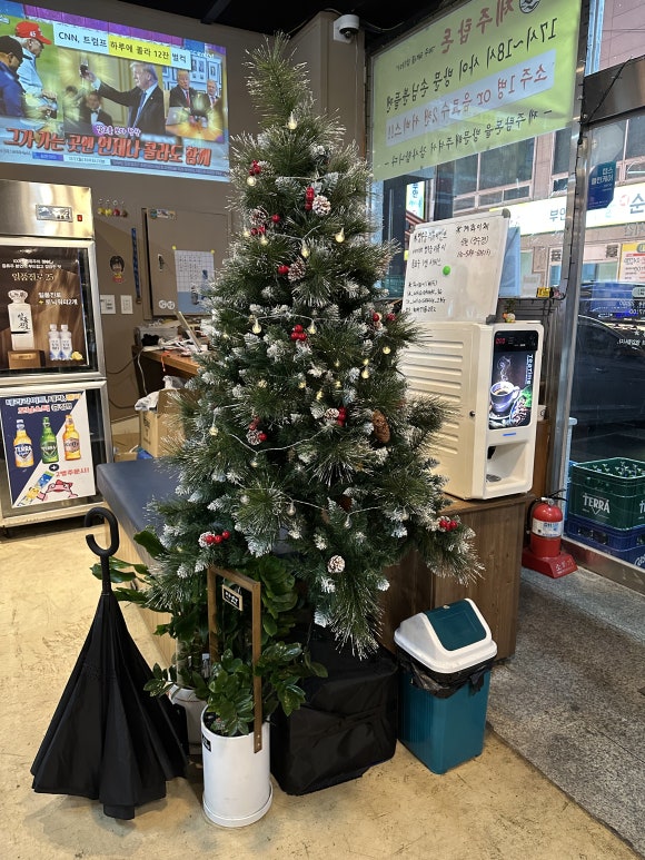 제주탐돈 이미지