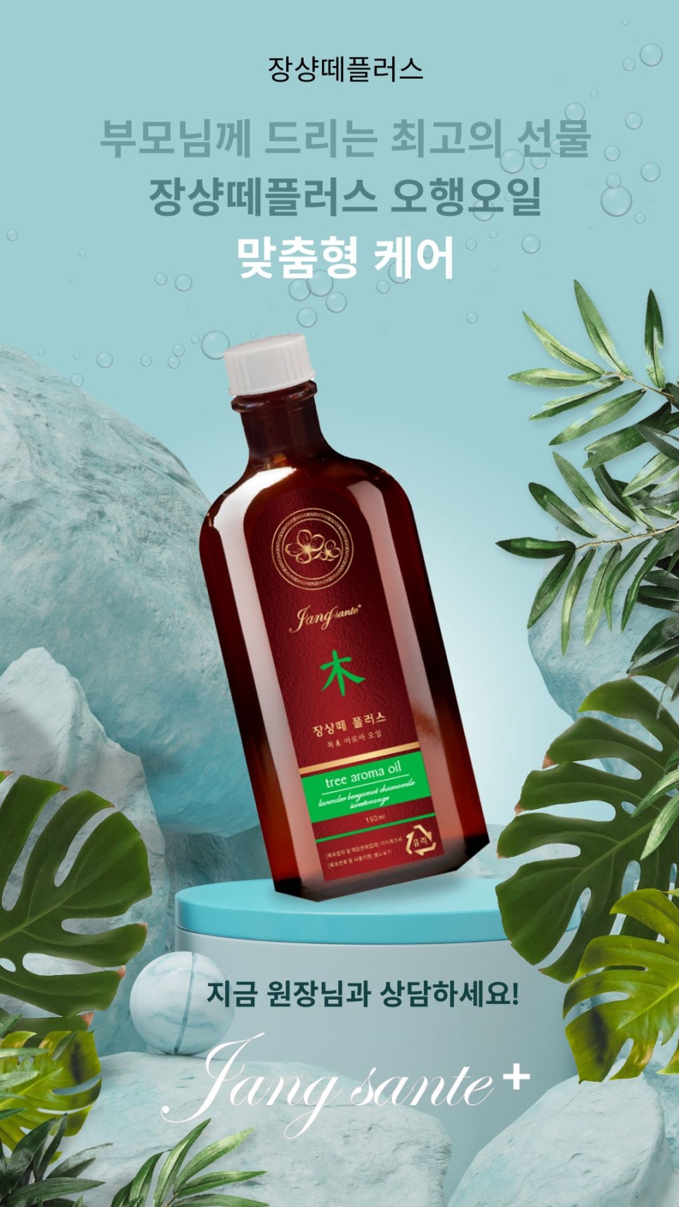 장샹떼플러스 이미지