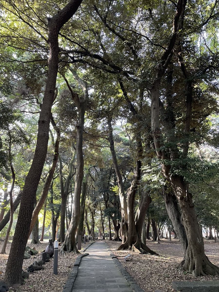 삼성혈분식 이미지