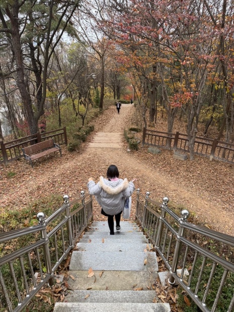 갈마공원 이미지