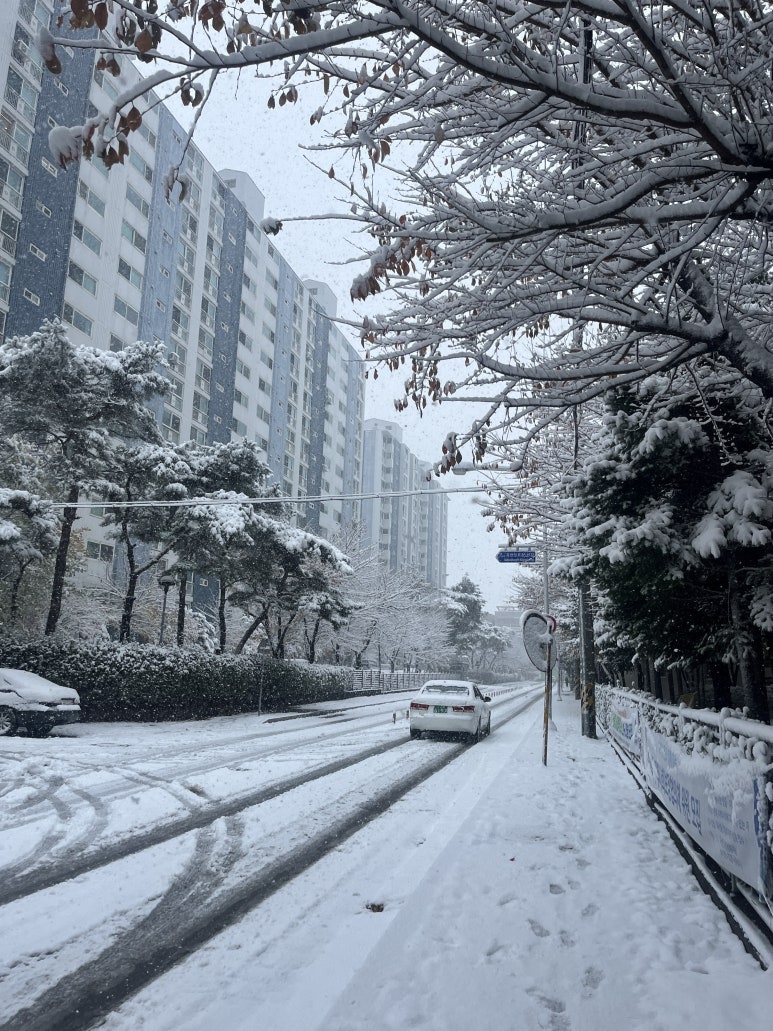 뽀글뽀글&눈썹 이미지
