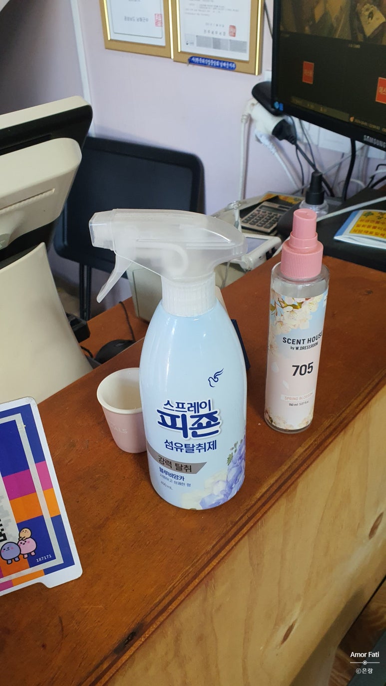 돈나라 이미지