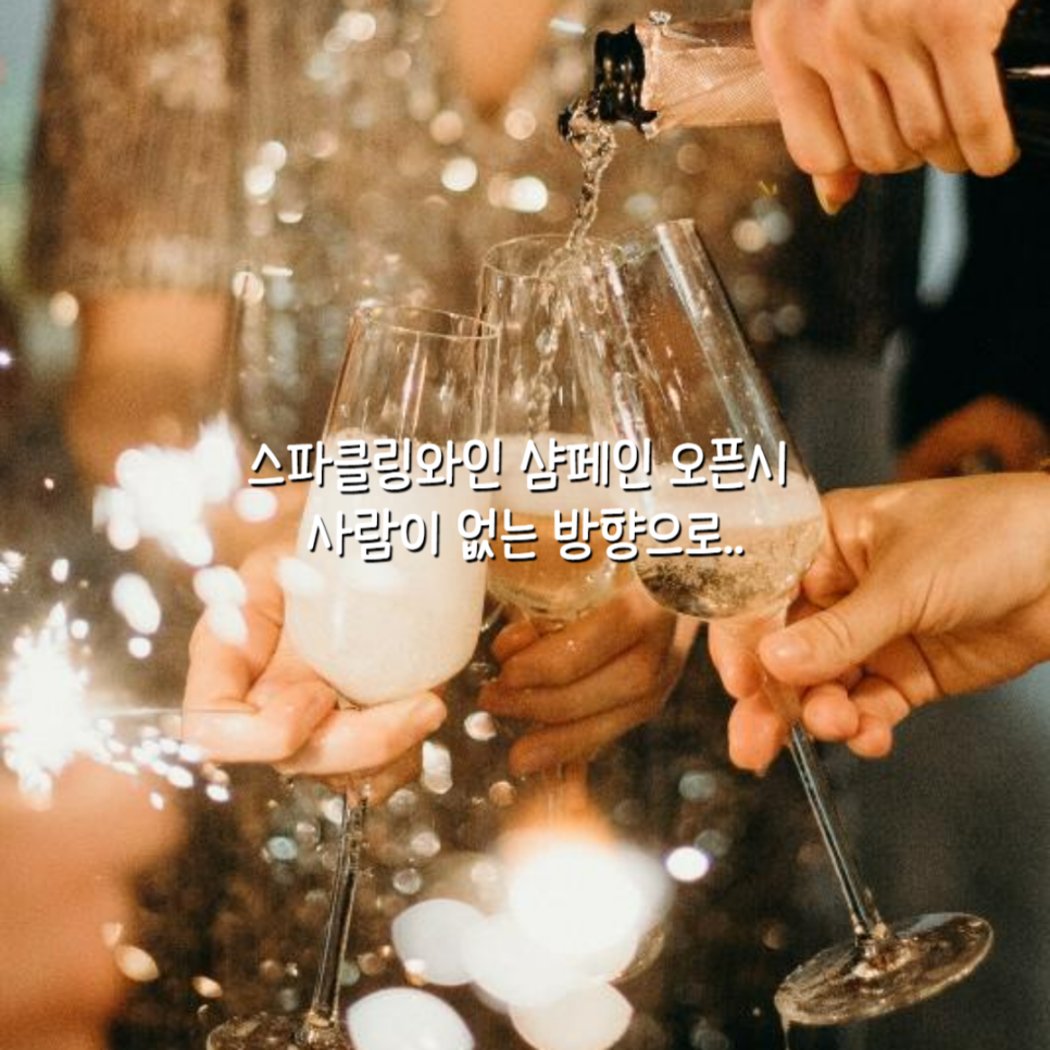 와인오픈 이미지