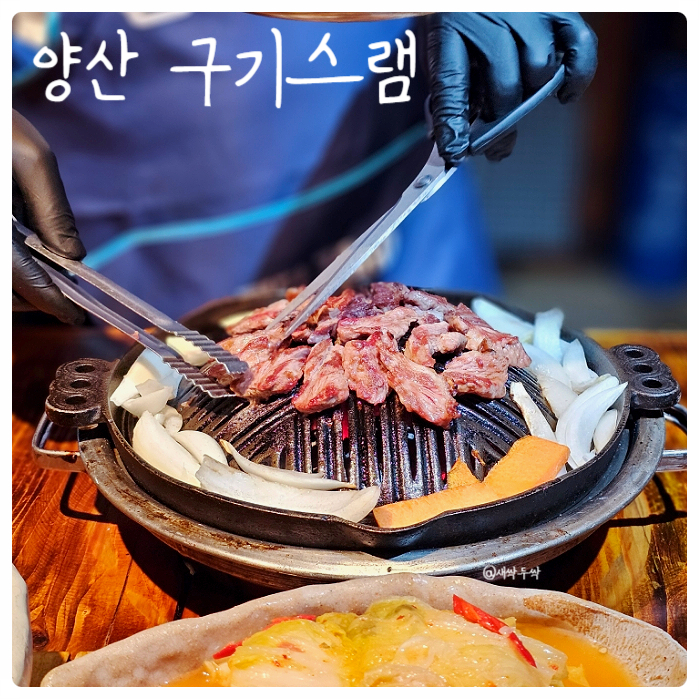 구기스램 이미지