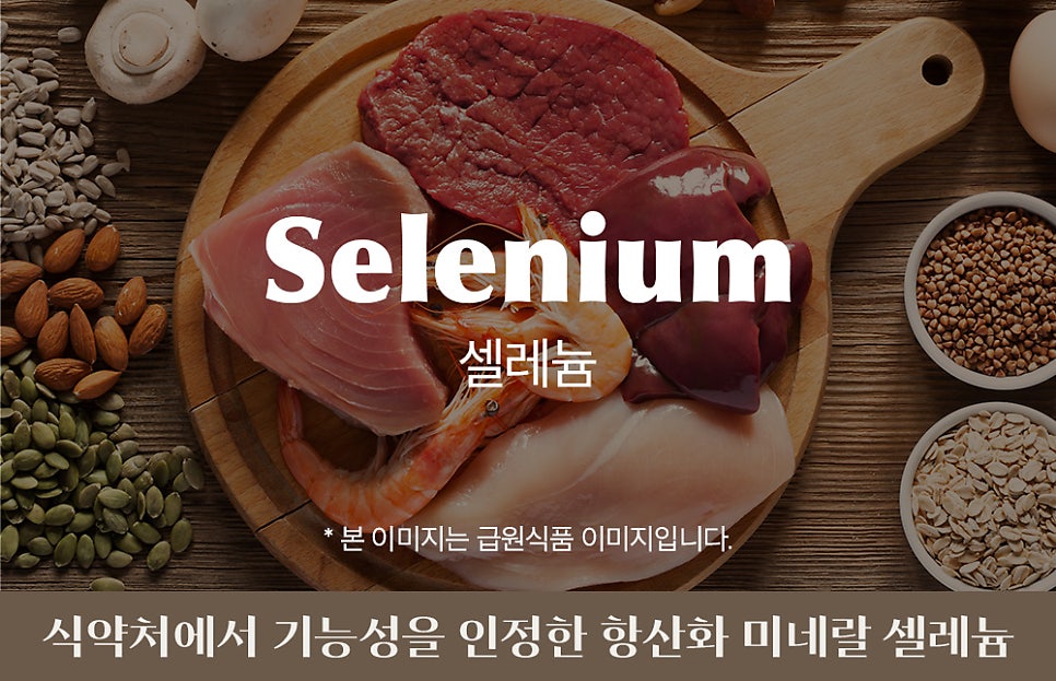 지노에너지 이미지