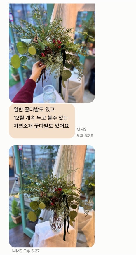 플레베르플라워 이미지