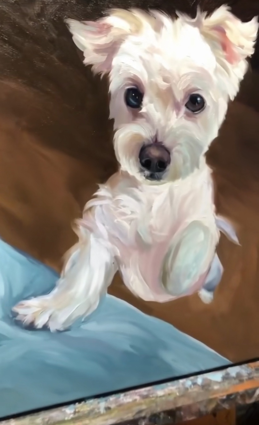 (주)보고유화 이미지