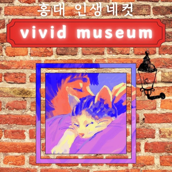비비드뮤지엄 이미지