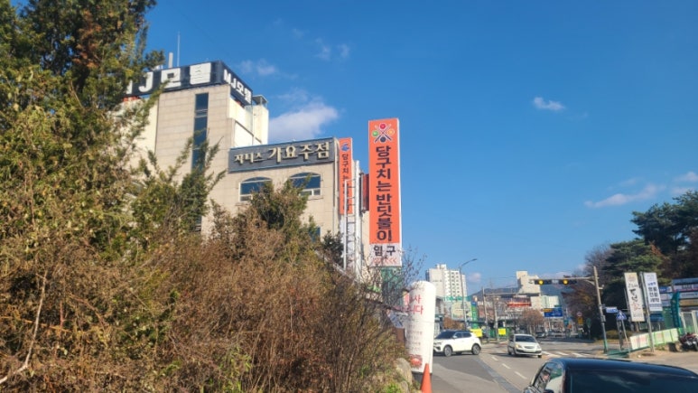 당구치는반딧불이 이미지