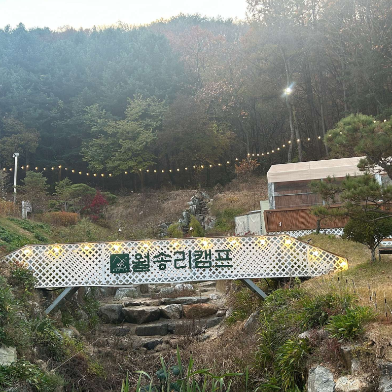 월송캠프 이미지