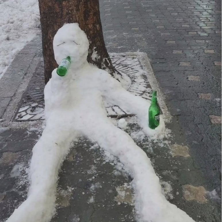 씨더 이미지