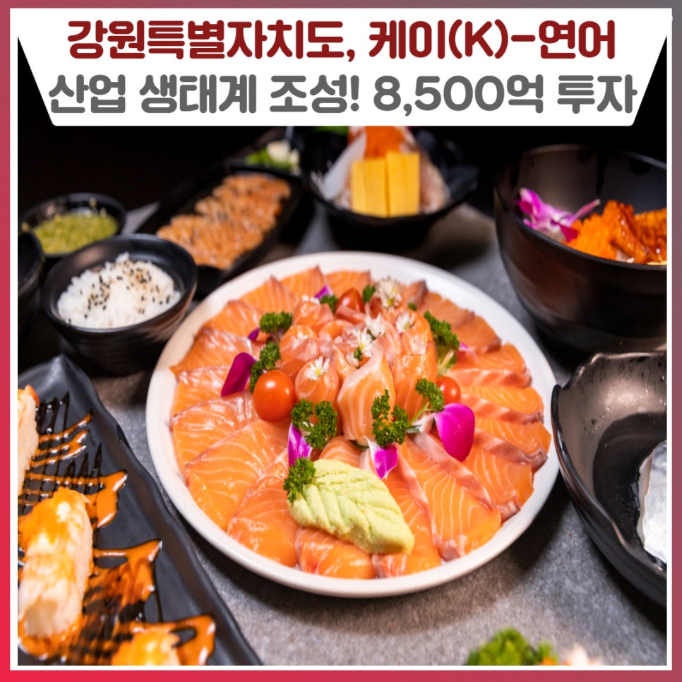 케이(K) 이미지