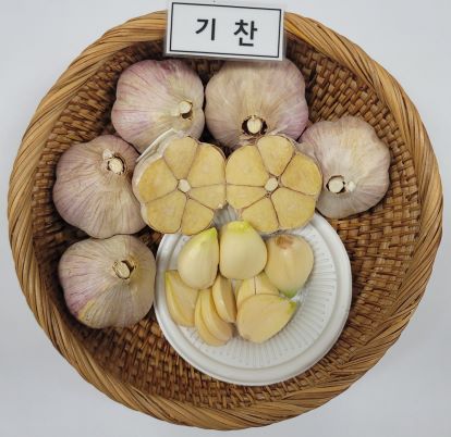 기찬기술 이미지