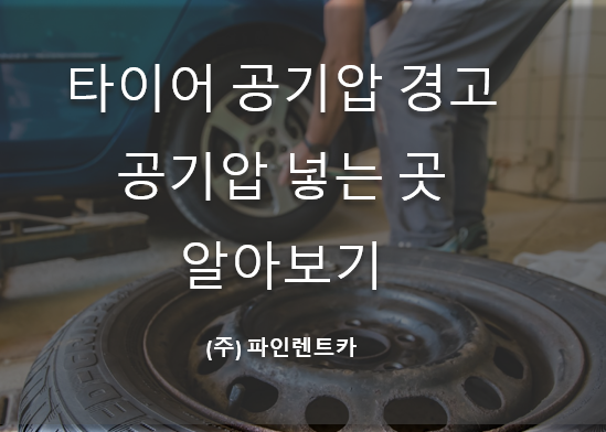 파인렌트주 이미지