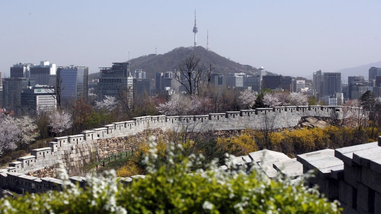 도성집 이미지