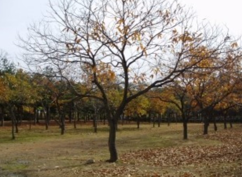 주감중학교 이미지