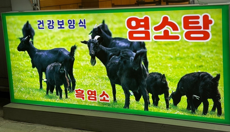 수영삼계탕염소탕 이미지