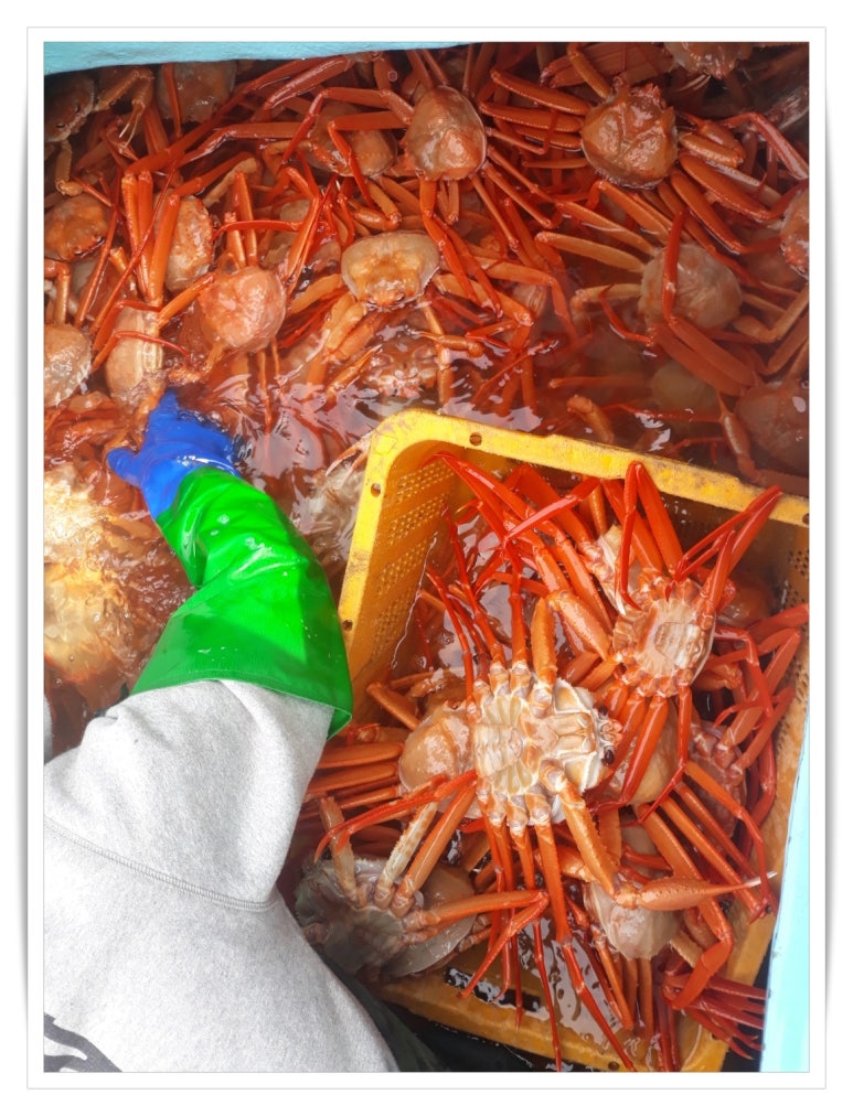 더랩아이 이미지
