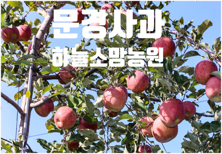 소망농원 이미지