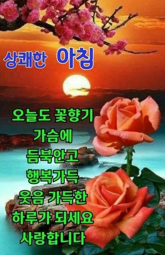 프루츠가든 이미지
