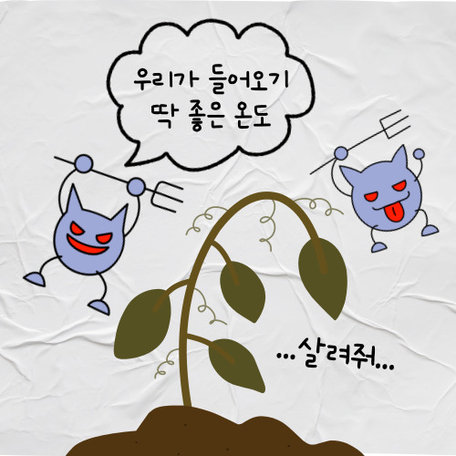 무지개농약사 이미지