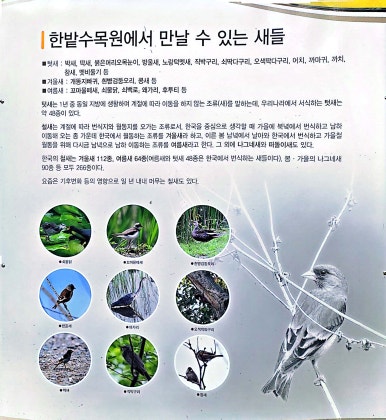 한밭어린왕자 이미지