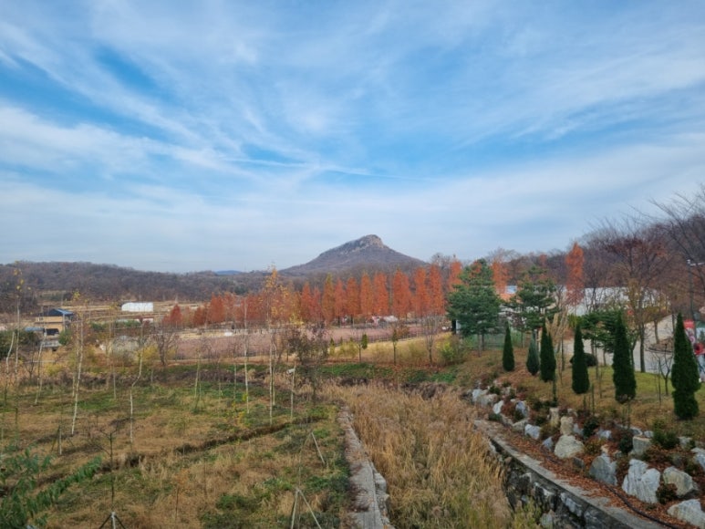 용인사계절화원 이미지