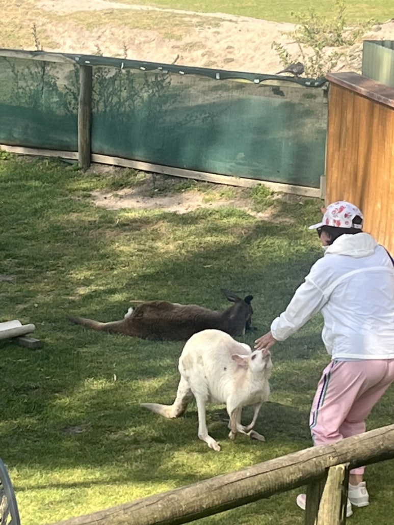 워라벨투어 이미지