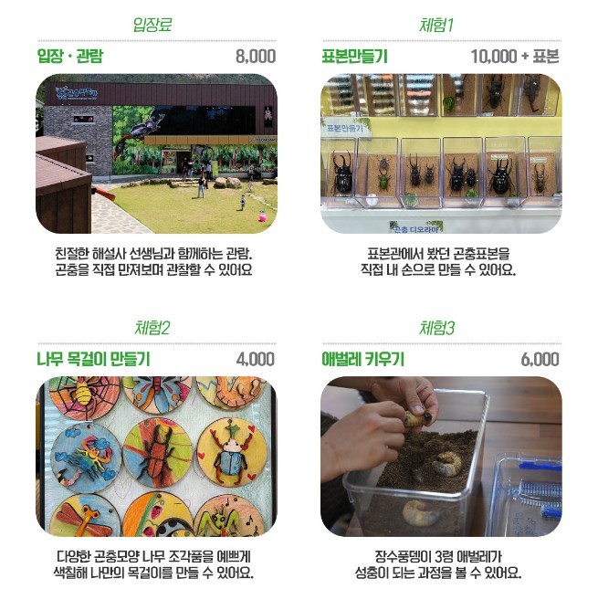 순천곤충박물관 이미지