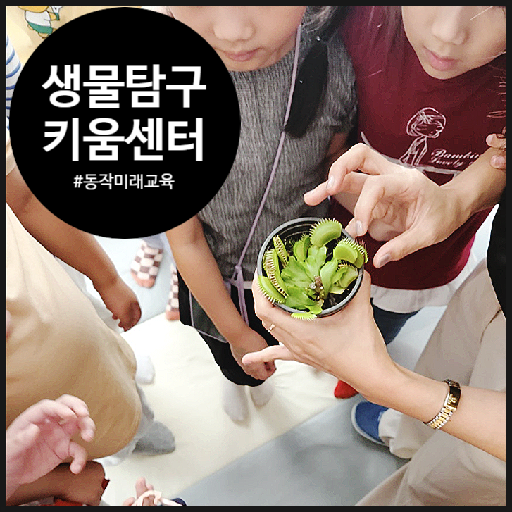 오해피데이지 이미지
