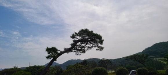 영이 가게 이미지